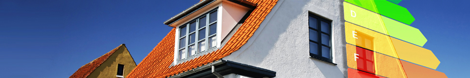 Banner - Reiner Fleischhauer