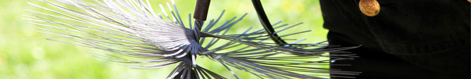 Banner - Reiner Fleischhauer